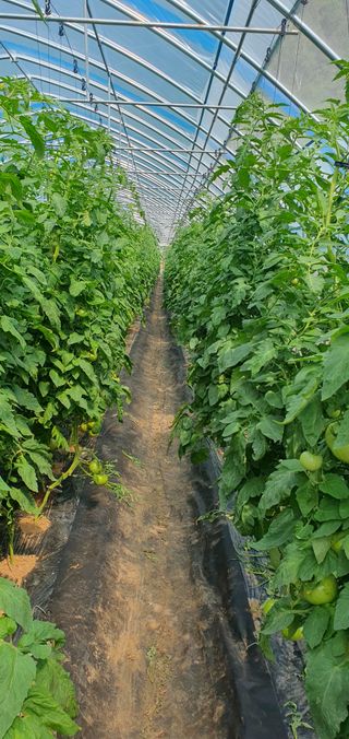 김동현님의 작성글 사진