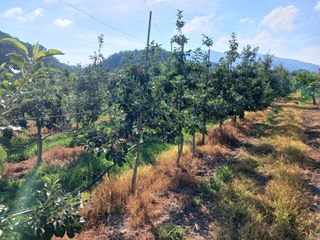 알 수 없음님의 우리동네 · 동네수다 작성글 사진
