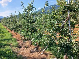 알 수 없음님의 우리동네 · 동네수다 작성글 사진