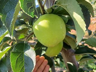 알 수 없음님의 우리동네 · 동네수다 작성글 사진