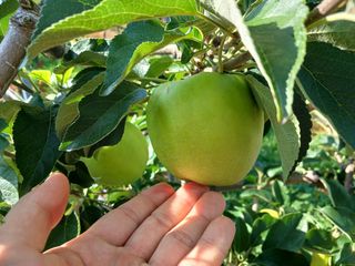 알 수 없음님의 우리동네 · 동네수다 작성글 사진