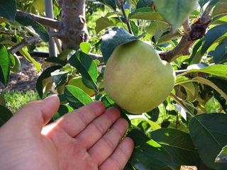알 수 없음님의 우리동네 · 동네수다 작성글 사진