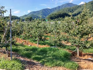 알 수 없음님의 우리동네 · 동네수다 작성글 사진