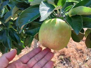 알 수 없음님의 우리동네 · 동네수다 작성글 사진
