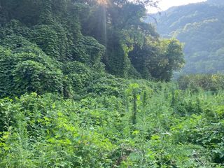 윤상국님의 기타작물 · 영농일지 작성글 사진