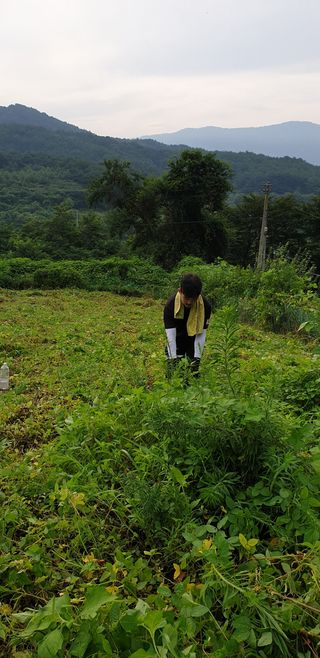 윤상국님의 기타작물 · 영농일지 작성글 사진