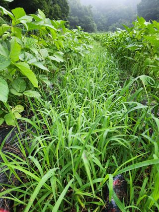 까미네님의 콩 · 자유게시판 작성글 사진