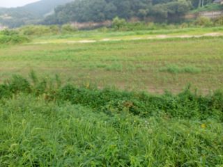 박진하님의 콩 · 자유게시판 작성글 사진