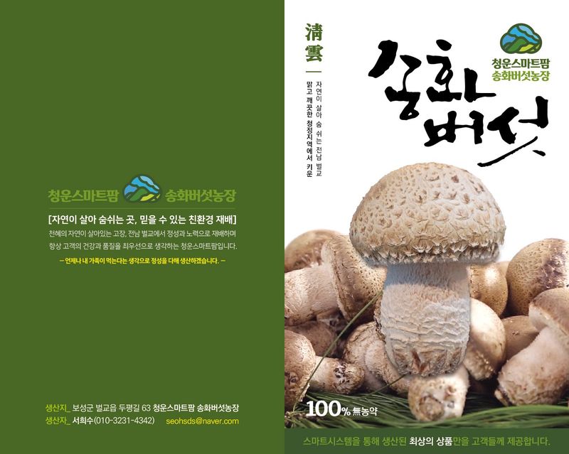 청운큐브팜(서희수)님의 장터 판매 상품 [청운스마트팜 송화버섯 1kg] 첨부 사진