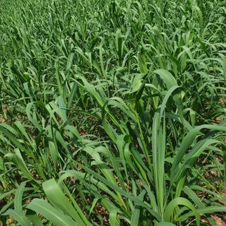 오명희 님의 자유주제 · 자유게시판 작성글 사진