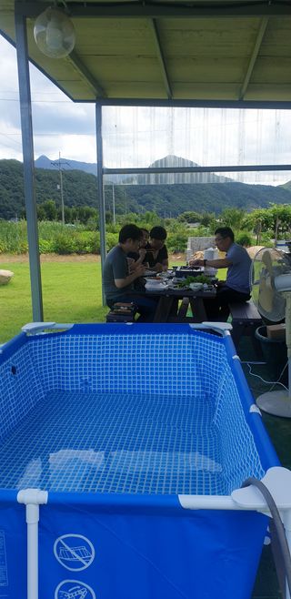 양촌리 2912님의 자유주제 · 자유게시판 작성글 사진