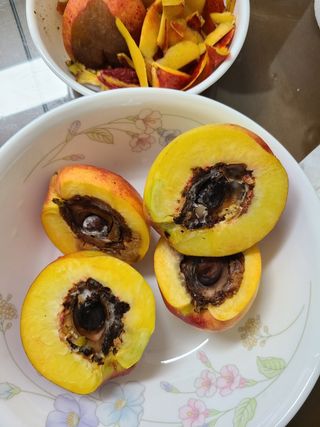 귀농 준비 1년차님의 복숭아 · 병해충상담 작성글 사진