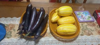 서강훈님의 자유주제 · 자유게시판 작성글 사진