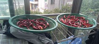 서강훈님의 자유주제 · 자유게시판 작성글 사진