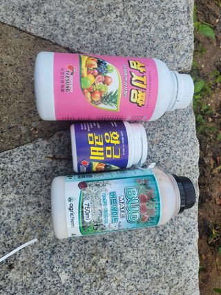 이강진님의 사과 · 영농일지 작성글 사진