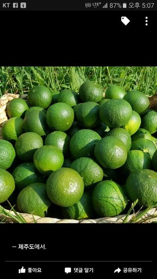 선물차롱님의 작성글 사진