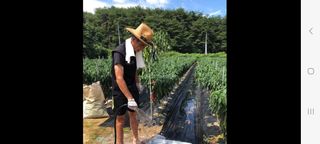 이종춘님의 자유주제 · 자유게시판 작성글 사진