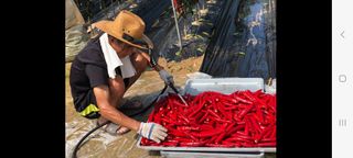 이종춘님의 자유주제 · 자유게시판 작성글 사진