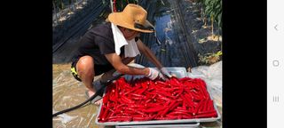 이종춘님의 자유주제 · 자유게시판 작성글 사진