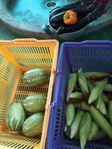 팜모닝 자유주제·자유게시판 게시글 이미지