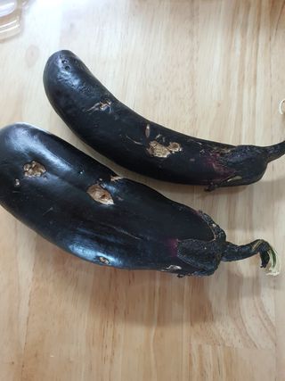 오성순님의 기타작물 · 병해충상담 작성글 사진