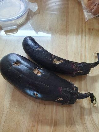 오성순님의 기타작물 · 병해충상담 작성글 사진