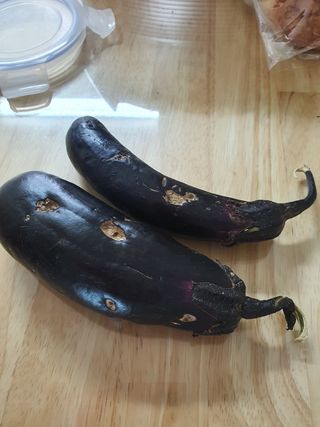 오성순님의 기타작물 · 병해충상담 작성글 사진