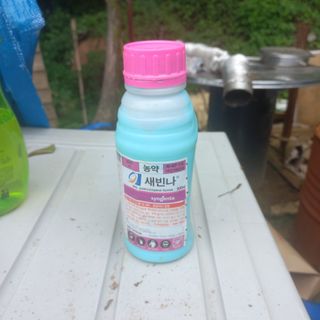 천운님의 병해충 박멸! 살충제 추천 · 참여글 작성글 사진