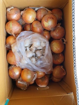 안비님의 자유주제 · 칭찬해요 작성글 사진