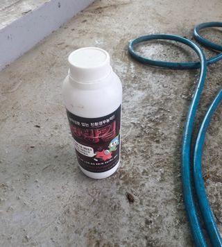 박춘선님의 병해충 박멸! 살충제 추천 · 참여글 작성글 사진