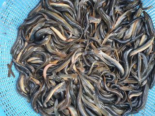 김석현님의 자유주제 · 자유게시판 작성글 사진