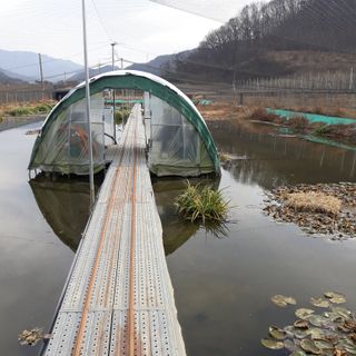 김석현님의 자유주제 · 자유게시판 작성글 사진