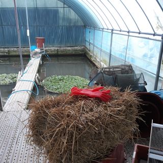 김석현님의 자유주제 · 자유게시판 작성글 사진