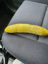 팜모닝 오이·병해충상담 게시글 이미지