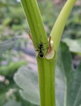 팜모닝 자유주제·자유게시판 게시글 이미지