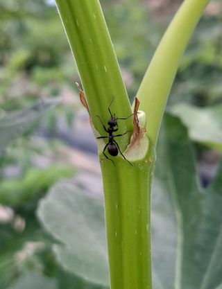 귀농2년/지성훈님의 자유주제 · 자유게시판 작성글 사진