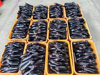 이시형님의 기타작물 · 자유게시판 작성글 사진