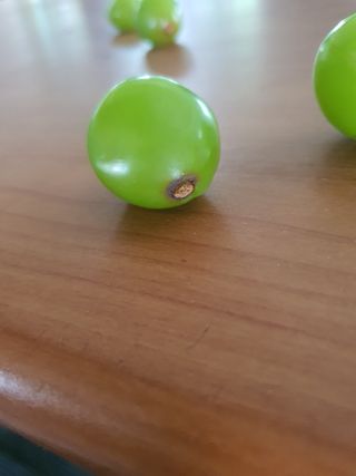 진아태님의 포도 · 병해충상담 작성글 사진