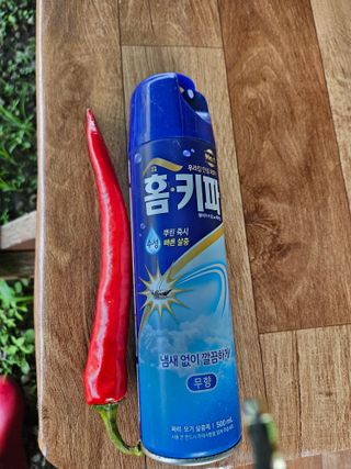 김보리님의 고추 · 수확 작성글 사진