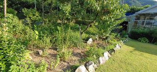 달맛햇복숭아농원님의 복숭아 · 자유게시판 작성글 사진