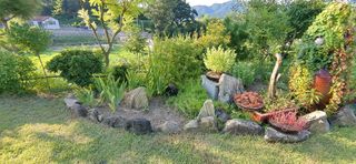 달맛햇복숭아농원님의 복숭아 · 자유게시판 작성글 사진