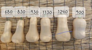 알 수 없음님의 호박 · 영농일지 작성글 사진