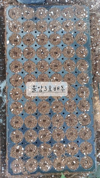 알 수 없음님의 기타작물 · 영농일지 작성글 사진