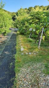 팜모닝 복숭아·영농일지 게시글 이미지