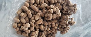 김원영님의 기타작물 · 자유게시판 작성글 사진