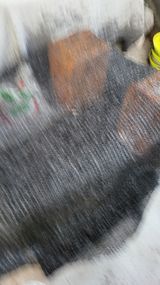 팜모닝 배추·파종•정식 게시글 이미지