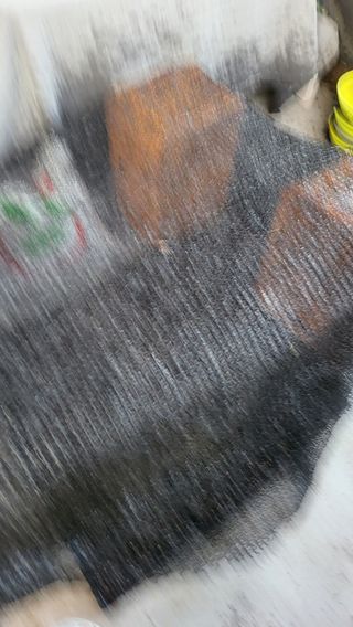 방촌대장님의 배추 · 파종•정식 작성글 사진