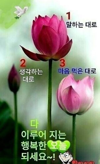 (팽나무*공주)님의 자유주제 · 자유게시판 작성글 사진