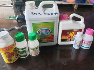 유영선님의 고추 · 영농일지 작성글 사진