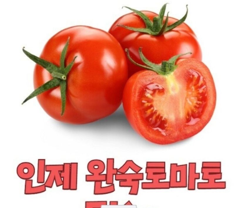 장터 상품 [완숙토마토 5kg] 썸네일